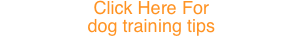 Click Here For 